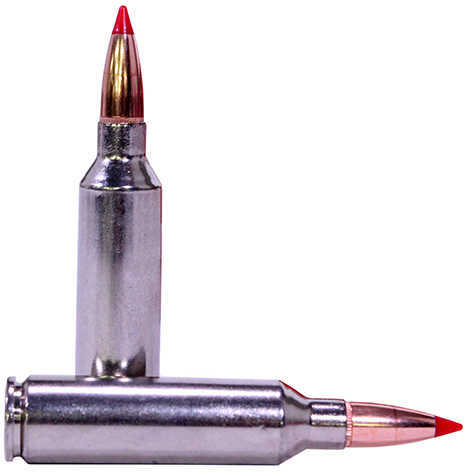 Federal 7mm Winchester Short Magnum 7mm WSM 140 Grain Nosler Ballistic Tip Per 20 Ammunition Md: P7WSMB