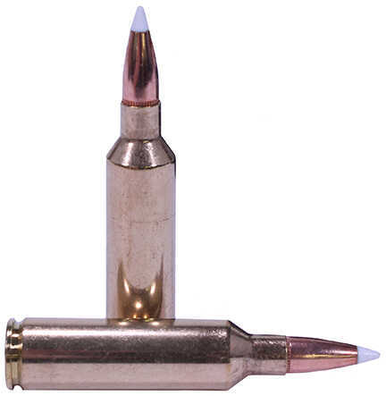 Nosler Trophy 270 Winchester Short Magnum 140 Grain Accubond Per 20 Ammunition Md: 60030