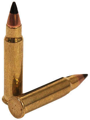 17 HMR Grain Ballistic Tip 50 Rounds CCI Ammunition