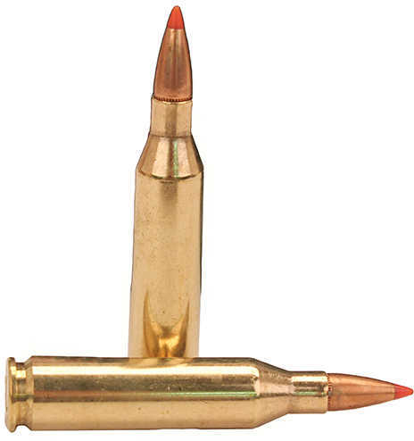 243 Win 95 Grain Ballistic Tip 20 Rounds Fiocchi Ammunition 243 Winchester