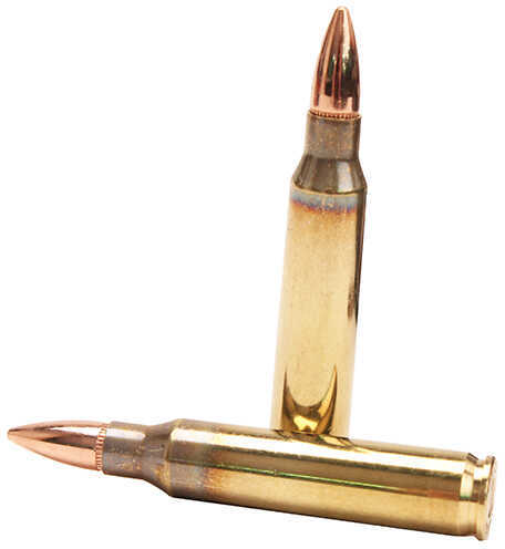 223 Remington 50 Rounds Ammunition Fiocchi 55 Grain Full Metal Jacket