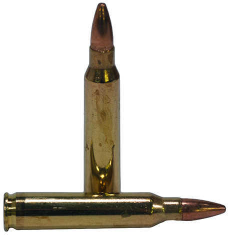 Federal 223 Remington 55 Grain FMJ BT Ammunition 1000 rounds American Eagle AE223 Bulk Pack