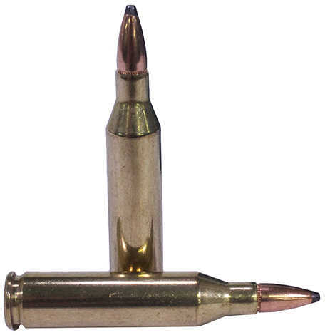 243 Win 80 Grain Soft Point 20 Rounds Federal Ammunition 243 Winchester