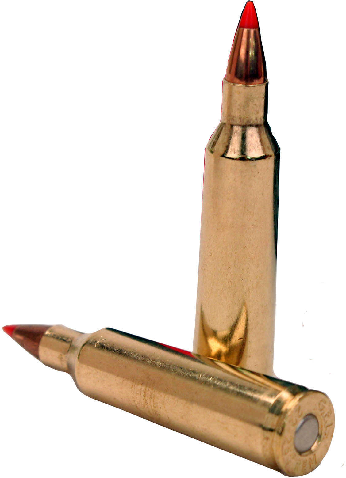 22-250 Rem 55 Grain Ballistic Tip 20 Rounds Fiocchi Ammunition Remington