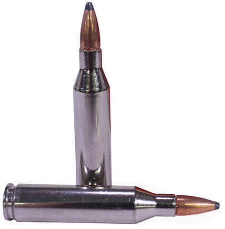 243 Win 100 Grain Hollow Point 20 Rounds Federal Ammunition 243 Winchester