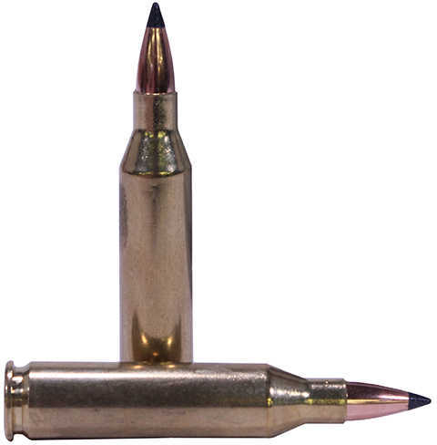 243 Win 55 Grain Ballistic Tip 20 Rounds Nosler Ammunition 243 Winchester