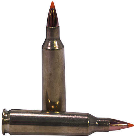 22-250 Rem 55 Grain Ballistic Tip 20 Rounds Nosler Ammunition Remington