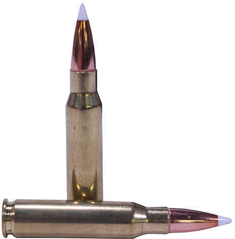 308 Win 165 Grain Ballistic Tip 20 Rounds Nosler Ammunition 308 Winchester