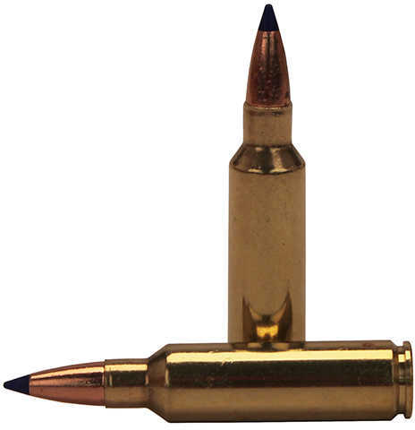 300 Win Short Mag 165 Grain Hollow Point 20 Rounds Barnes Ammunition Winchester Magnum