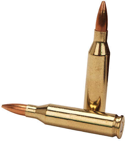 243 Win 95 Grain Boat Tail Hollow Point 20 Rounds Dynamic Research Ammunition 243 Winchester