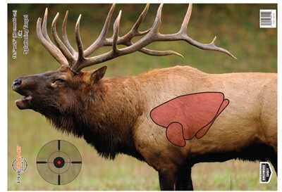 Birchwood Casey Bc-35404 Pregame Elk Target Paper 16.50" X 24" 3 Per Pkg