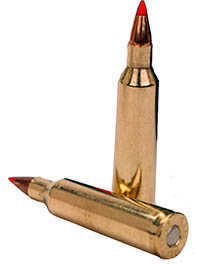 22-250 Rem 55 Grain V-Max 20 Rounds Fiocchi Ammunition Remington