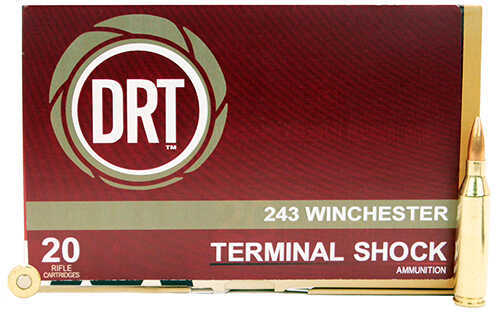 243 Win 95 Grain Boat Tail Hollow Point 20 Rounds Dynamic Research Ammunition 243 Winchester