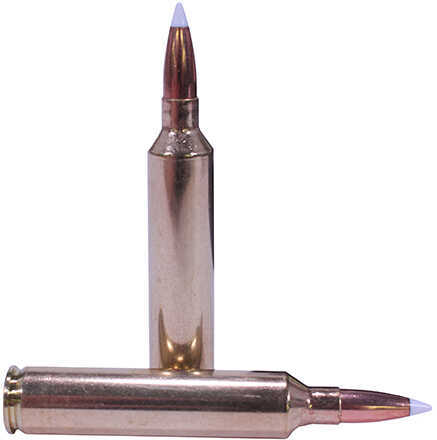 26 Nosler 140 Grain Ballistic Tip 20 Rounds Ammunition