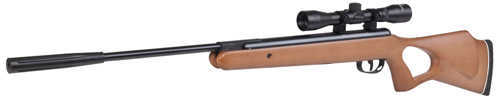 Benjamin BW8M22Np Titan Np Air Rifle Break Open .22 Hardwood Stock Black Finish