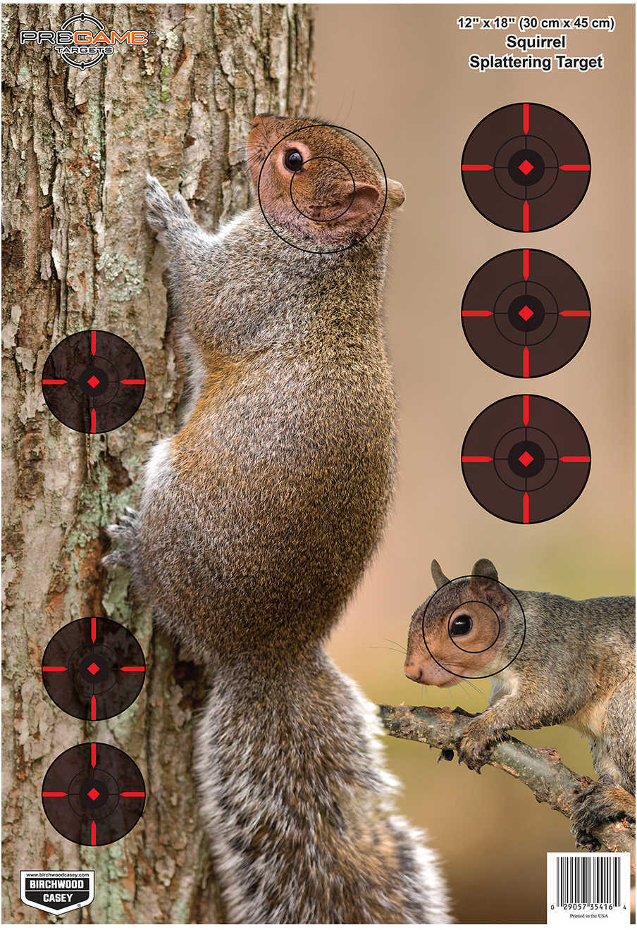 Birchwood Casey Pregame Squirrel 12x18 Target 8pk