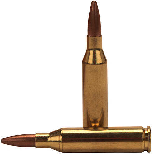 243 Win 95 Grain Boat Tail 20 Rounds Federal Ammunition 243 Winchester