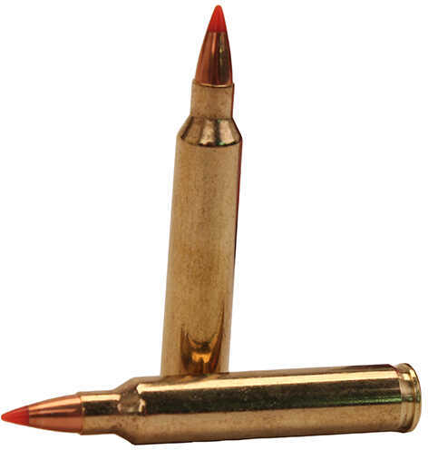 204 Ruger 32 Grain Ballistic Tip Rounds Hornady Ammunition