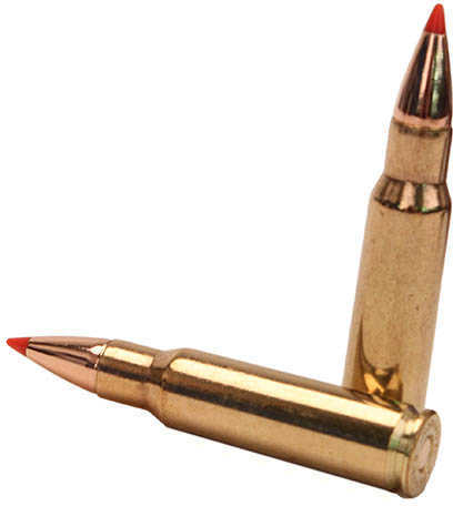 6.8mm SPC 100 Grain Ballistic Tip 20 Rounds Hornady Ammunition