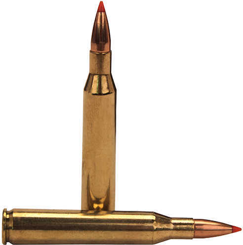 25-06 Rem 117 Grain SST 20 Rounds Fiocchi Ammunition Remington