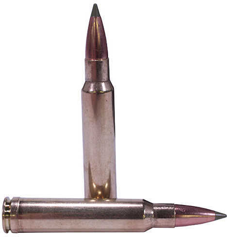 338 Win Mag 225 Grain Ballistic Tip 20 Rounds Nosler Ammunition 338 Winchester Magnum