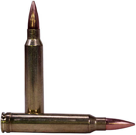 300 Win Mag 190 Grain Boat Tail Hollow Point 20 Rounds Federal Ammunition 300 Winchester Magnum