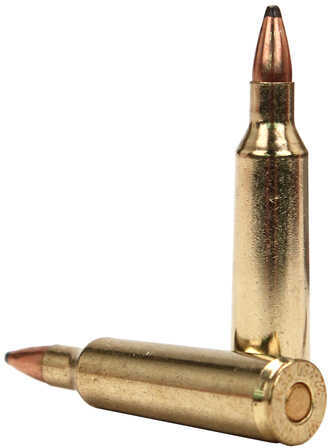 22-250 Rem 55 Grain Jacketed Soft Point 20 Rounds Winchester Ammunition Remington