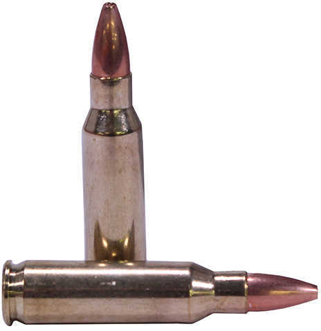 221 Rem Fireball 40 Grain Hollow Point 20 Rounds Nosler Ammunition Remington