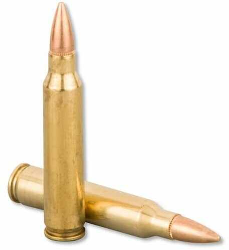 223 Remington 20 Rounds Ammunition Federal 55 Grain Full Metal Jacket