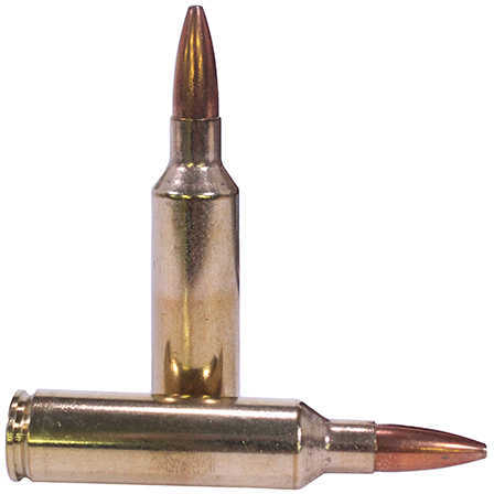270 WSM 130 Grain Hollow Point 20 Rounds Winchester Ammunition