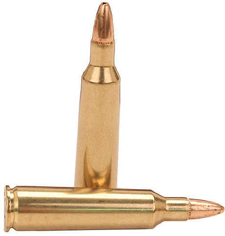22-250 Rem 50 Grain Hollow Point Rounds Federal Ammunition Remington