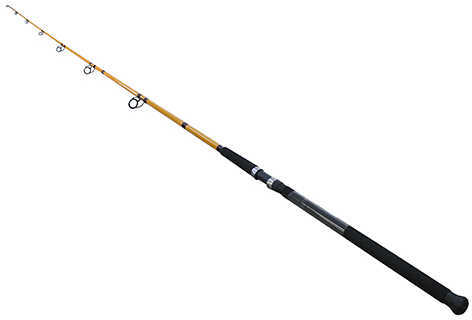 Daiwa Rod-ft Surf 11 2pc