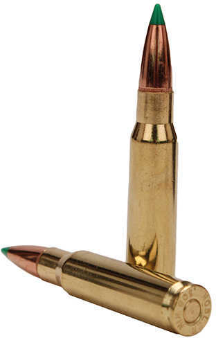 NOSLER BTA 308 165G BTSP 20BX