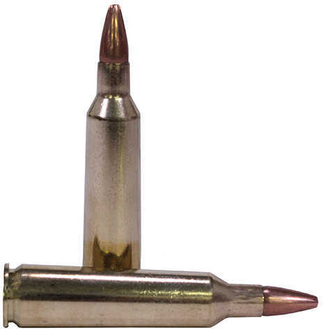 22-250 Rem 45 Grain Hollow Point 40 Rounds Winchester Ammunition Remington
