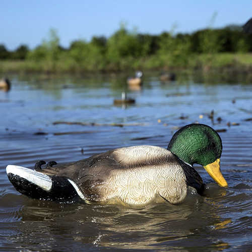 MOJO Rippler Mallard Drake Decoy