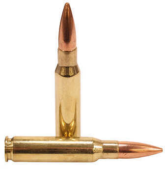 308 Winchester 20 Rounds Ammunition Sig Sauer 175 Grain Hollow Point