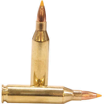 243 Win 55 Grain Tipped Hollow Point 20 Rounds Sig Sauer Ammunition 243 Winchester