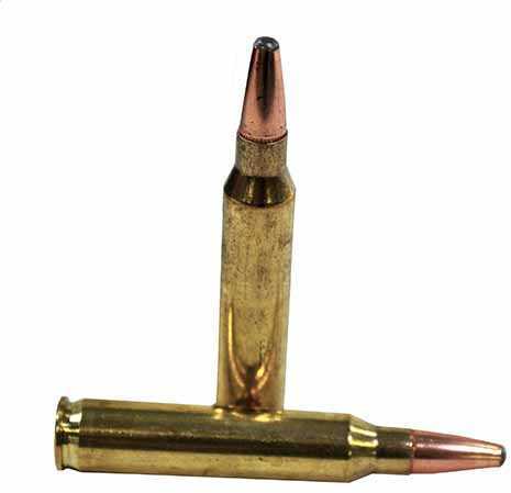 5.56mm Nato 75 Grain Soft Point 20 Rounds Hornady Ammunition