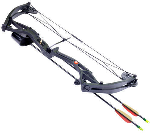 CenterPoint Wildhorn Youth Bow Black RH Model: AYC2926