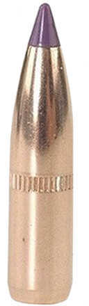 Nosler Ballistic Tip Hunting Bullets 6mm 90 gr. Spitzer Point 50 pk. Model: 24090
