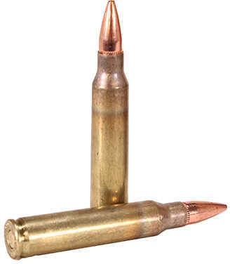 5.56mm Nato 75 Grain Hollow Point 20 Rounds Hornady Ammunition