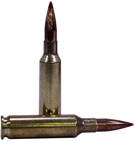 6.5 Creedmoor 120 Grain Ballistic Tip 20 Rounds Hornady Ammunition