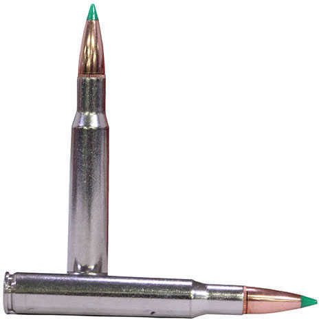 30-06 Springfield 165 Grain Ballistic Tip 20 Rounds Federal Ammunition