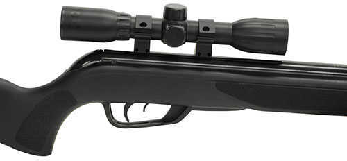 Gamo Wildcat Whisper .22Cal