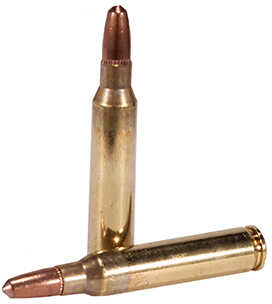 223 Rem 45 Grain Lead 50 Rounds Fiocchi Ammunition 223 Remington