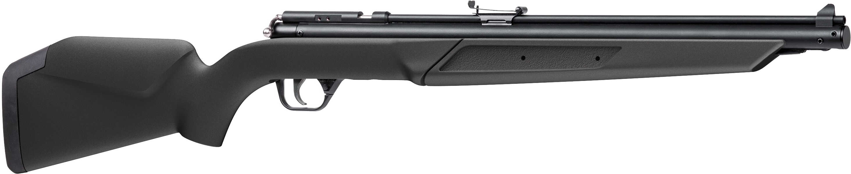 BENJ 22CAL PUMP RIFLE SGL SHOT SYNT