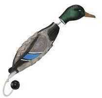 Avery Ezb Mallard Drake