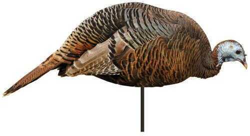 Montana Decoy Turkey Dinner Belle Hen