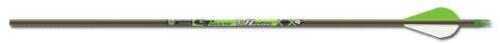 Gold Tip Hunter XT Arrows 300 Raptor Vanes 12 pk. Model: HXT300A2