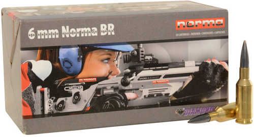 6mm Norma Bench Rest 105 Grain Jacketed Hollow Point 58 Rounds Ammunition